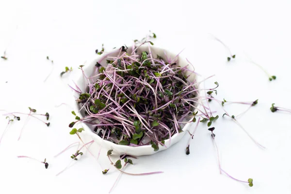 stock image Organic red cabbage sprouts on white background.