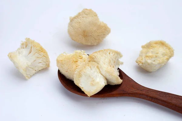 Fresh Rare Lion Mane Mushroom — Foto Stock