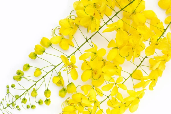 stock image Golden shower or cassia fistula flower on white background.