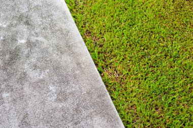 Taze çimenli yürüyüş yolu. Güzel yeşil bahçe