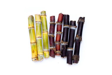 Beyaz zemin üzerine şeker kamışı.