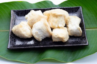 Taze ender bulunan aslan yelesi mantarı