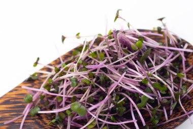 Beyaz arka planda organik kırmızı lahana filizleri.