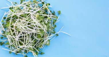 Beyaz arkaplanda Kaiware (daikon turp filizleri).