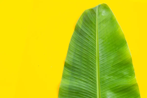 stock image Banana leaf on yellow background.