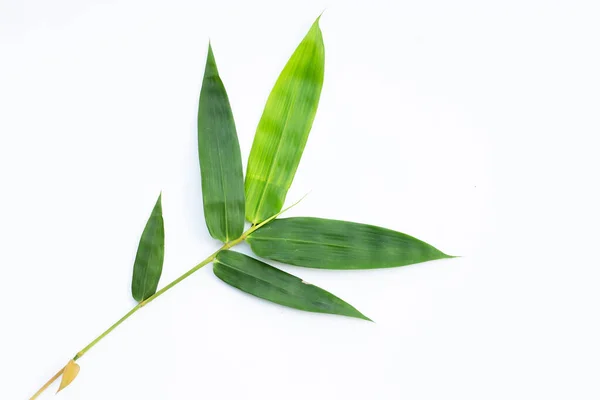 Bambusz Levelek Fehér Háttér — Stock Fotó
