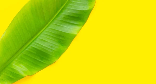 stock image Banana leaf on yellow background.