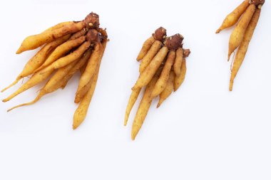 Beyaz arkaplanda parmak kökü.