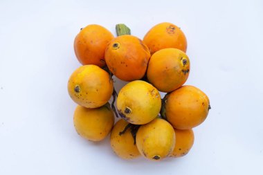 Beyaz arka planda Betel fındığı veya Areca fındığı