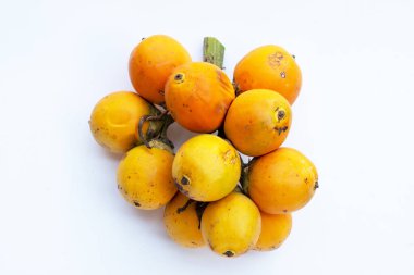 Beyaz arka planda Betel fındığı veya Areca fındığı