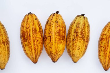 Beyaz arka planda izole edilmiş kakao meyvesi