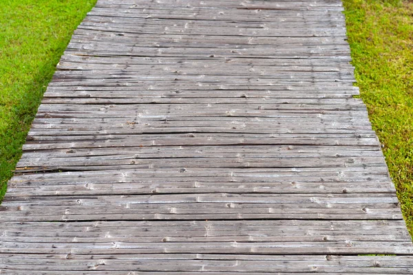 Loopbrug Met Vers Gazongras Prachtige Groene Tuin — Stockfoto
