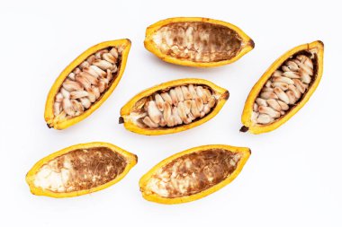 Beyaz arka planda izole edilmiş kakao meyvesi