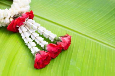 Taçlı gül ve yasemin çelengi