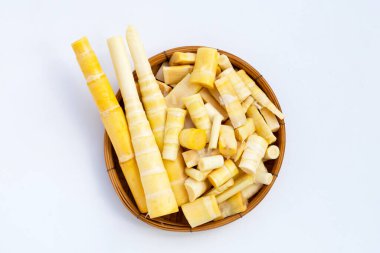 Beyaz arkaplanda bambu filizleri.