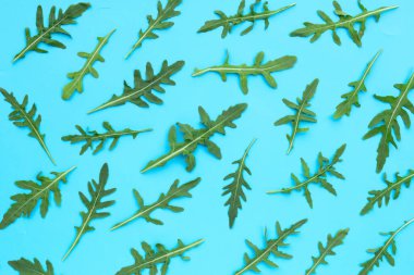 Mavi arka planda taze yeşil roket salatası.