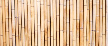 Sarı bambu dokusu. Kurumuş bambu duvarı ya da çit arka planı