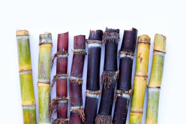 Beyaz zemin üzerine şeker kamışı.