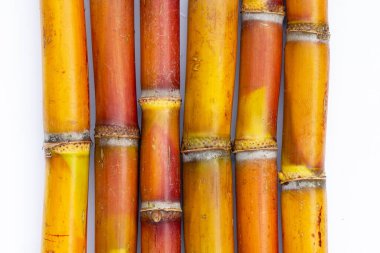 Beyaz zemin üzerine şeker kamışı.