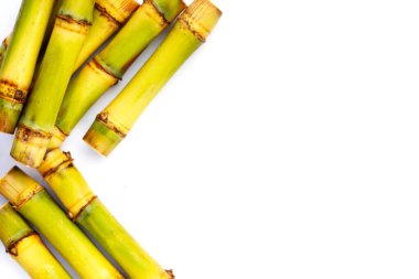 Beyaz arka planda şeker kamışı. Boşluğu kopyala