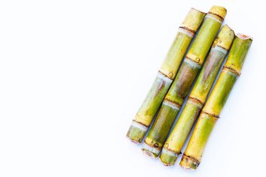 Beyaz zemin üzerine şeker kamışı.