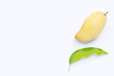 Tropik meyve, beyaz arka planda mango. Üst görünüm