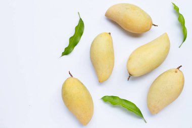 Tropik meyve, beyaz arka planda mango. Üst görünüm