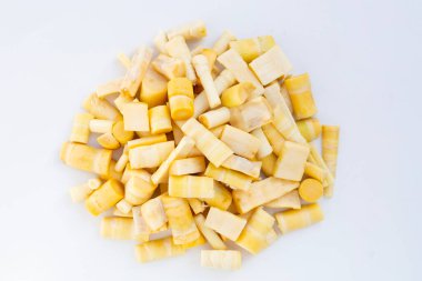 Beyaz arkaplanda bambu filizleri.