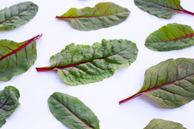Beyaz arka planda İsviçre pazısı. Bebek yaprağı İsviçre pazarı