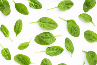 Beyaz arkaplanda ıspanak yaprakları.