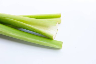 Beyaz arkaplanda Colocasia dev çayı.