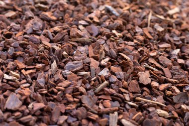 Pine bark is an ingredient for cultivation. Beneficial to the soil and plants.