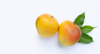 Tropik meyve, beyaz arka planda mango. Üst görünüm