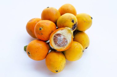 Beyaz arka planda Betel fındığı veya Areca fındığı