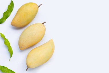 Tropik meyve, beyaz arka planda mango. Üst görünüm