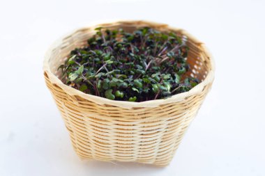 Beyaz zemin üzerine kırmızı lahana lahanası.