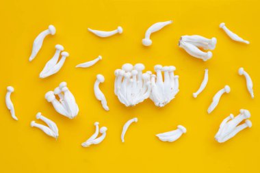 Beyaz kayın mantarı, Shimeji mantarı, sarı arka planda yenilebilir mantar..