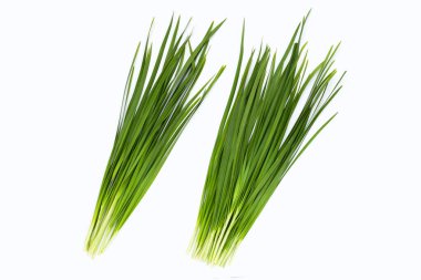 Beyaz arkaplanda taze Çin Chive yaprakları.