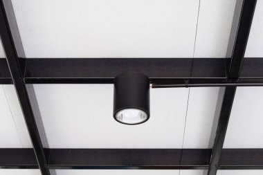  LED downlight. Modern interior lamps.