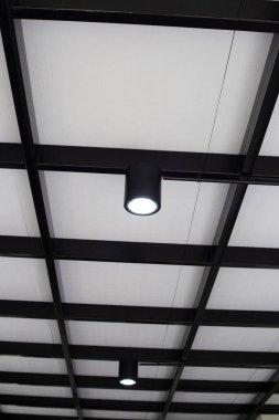  LED downlight. Modern interior lamps.