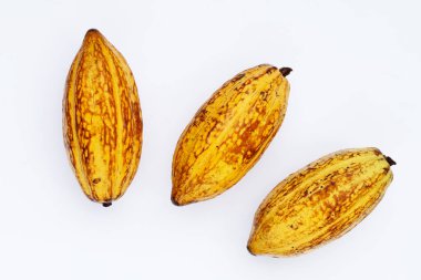 Beyaz arka planda izole edilmiş kakao meyvesi