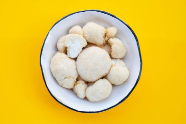 Fresh lion's mane mushroom on yellow background.
