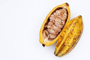 Beyaz arka planda izole edilmiş kakao meyvesi