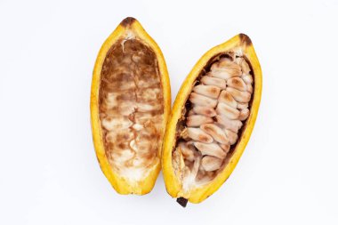 Beyaz arka planda izole edilmiş kakao meyvesi