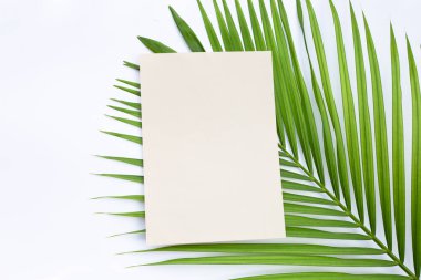 Palmiye yapraklarının üzerinde kahverengi kağıt