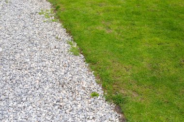 Taze çimenli yürüyüş yolu. Güzel yeşil bahçe