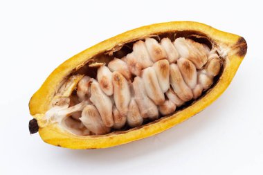 Beyaz arka planda izole edilmiş kakao meyvesi