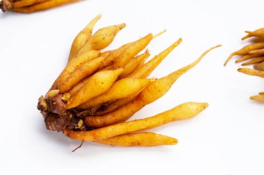 Beyaz arkaplanda parmak kökü.