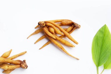 Beyaz arkaplanda parmak kökü.