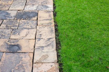 Fresh lawn grass with walkway. Beautiful green garden